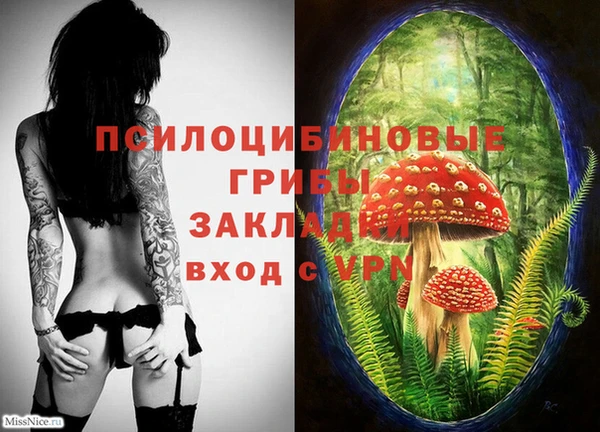 мяу мяу мука Арсеньев