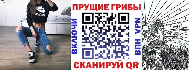Псилоцибиновые грибы мицелий  как найти   Почеп 