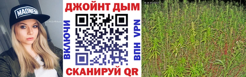 купить цена Почеп Каннабис OG Kush